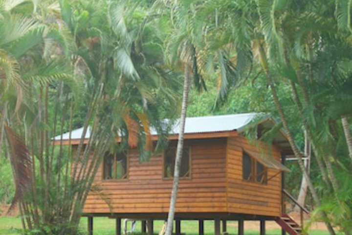 Daintree Rainforest Bungalows - Accommodation Gold Coast