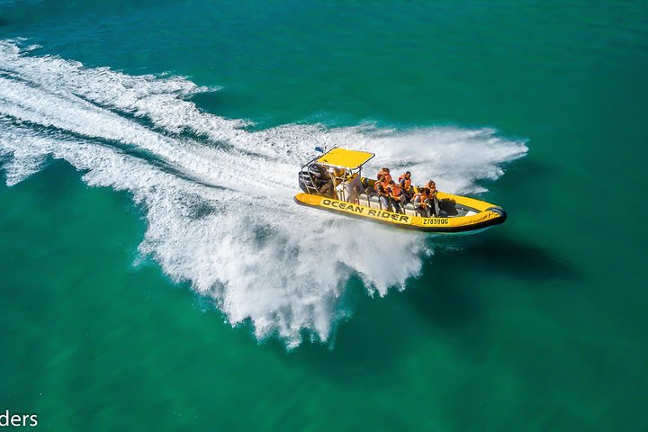 Noosa Oceanrider - Adventure Tour - Accommodation Gold Coast