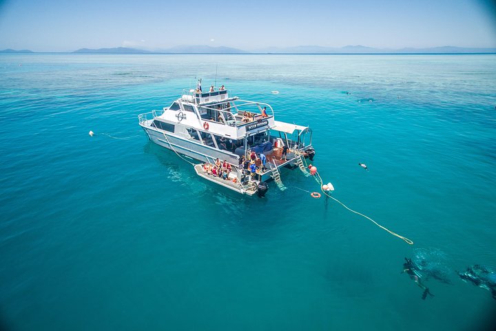 Ocean Freedom Great Barrier Reef Personal Luxury Snorkel  Dive Cruise Cairns - Accommodation Gold Coast